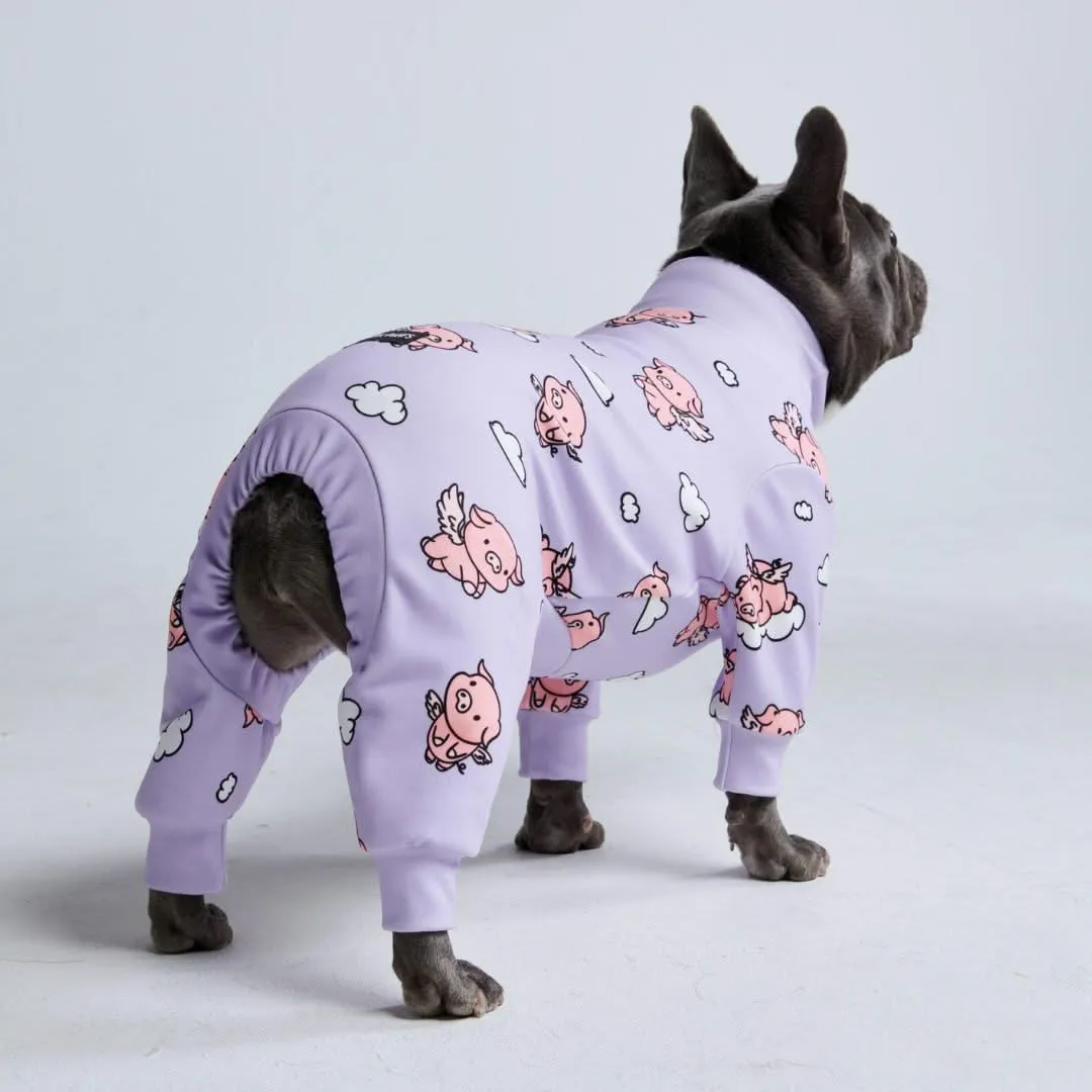 Dog Pajama Prints